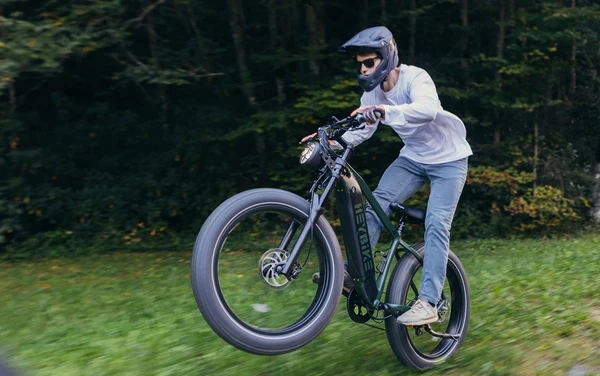 HEYBIKE BRAWN