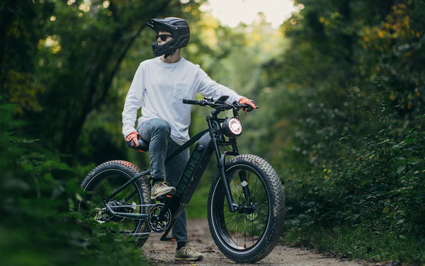 HEYBIKE BRAWN