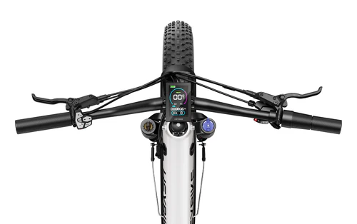 HEYBIKE Alpha