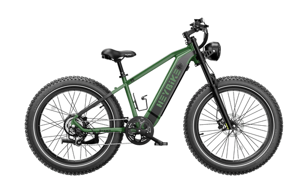HEYBIKE BRAWN