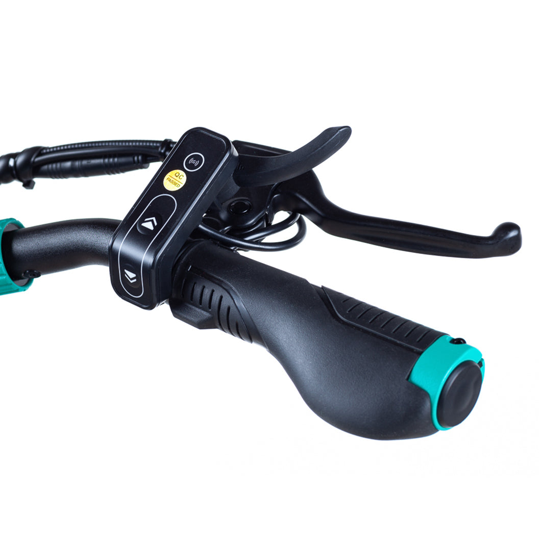 VSETT 9+ Powerful Off-Road Electric Scooter