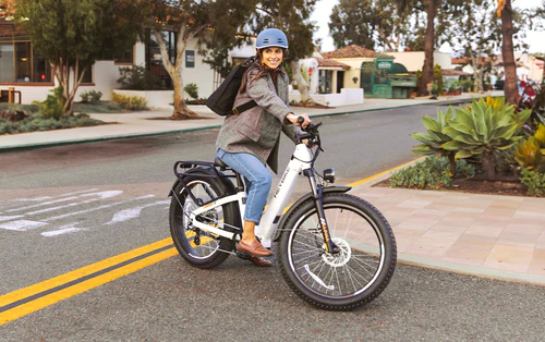 HEYBIKE Alpha