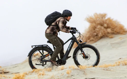 HEYBIKE Alpha