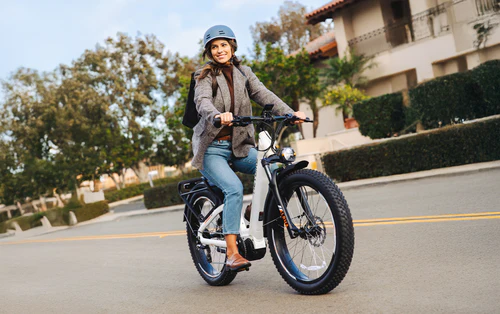 Heybike Alpha electric bike with lightweight aluminum frame and LED display for urban commuting
