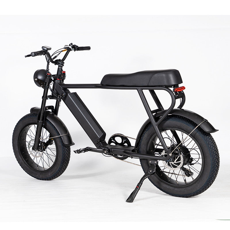 EZWheel S1 Electric Fat Bike, Speed & Power