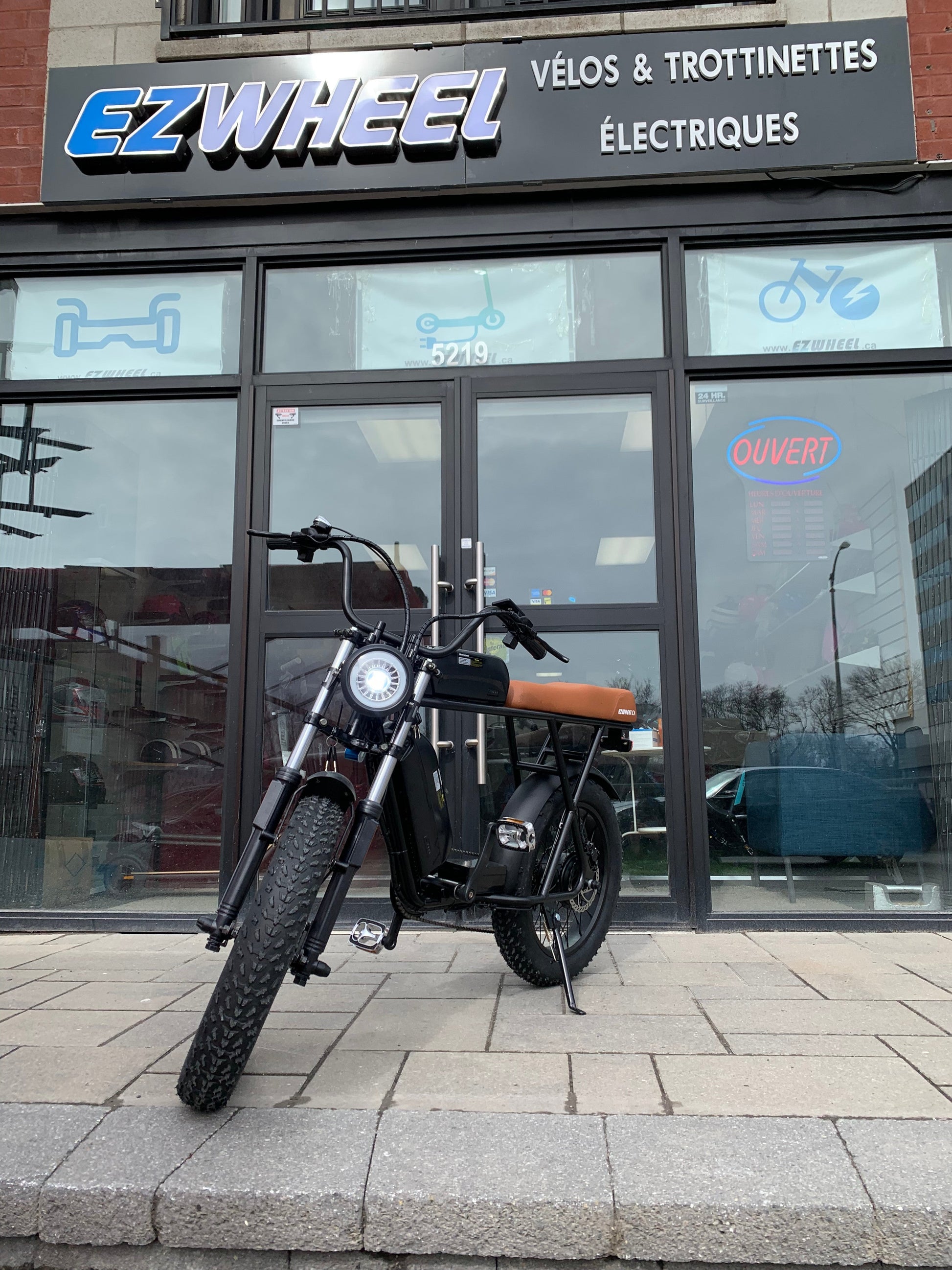 EZWheel Electric Fat Bike X1 & X2 - Ride in Style