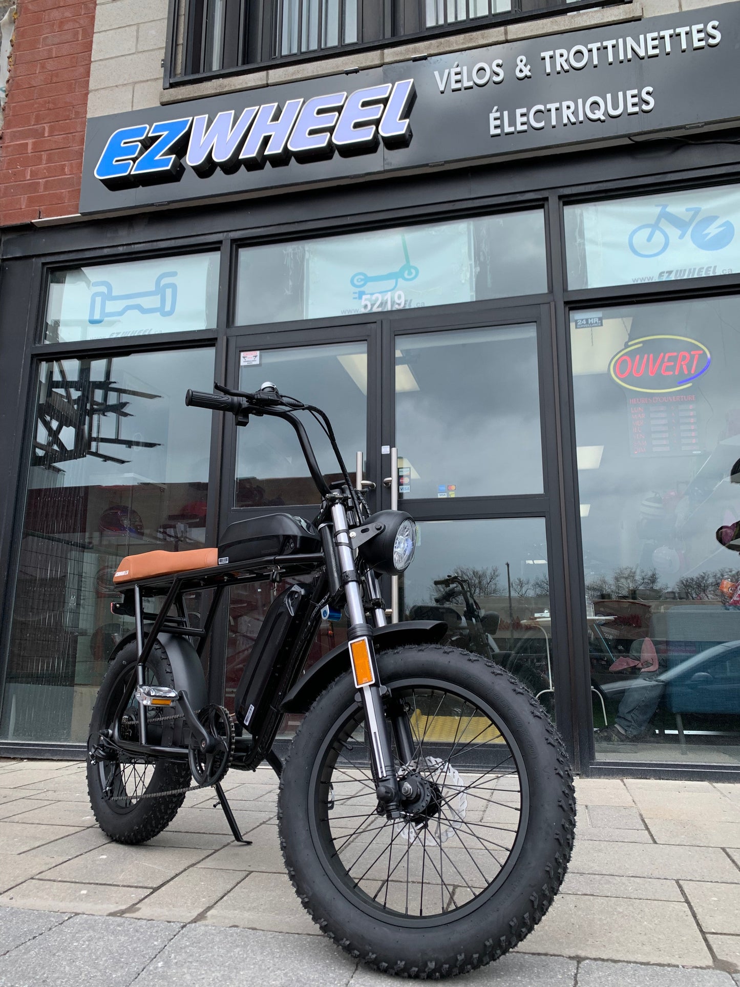 EZWheel Electric Fat Bike X1 & X2 - Ride in Style