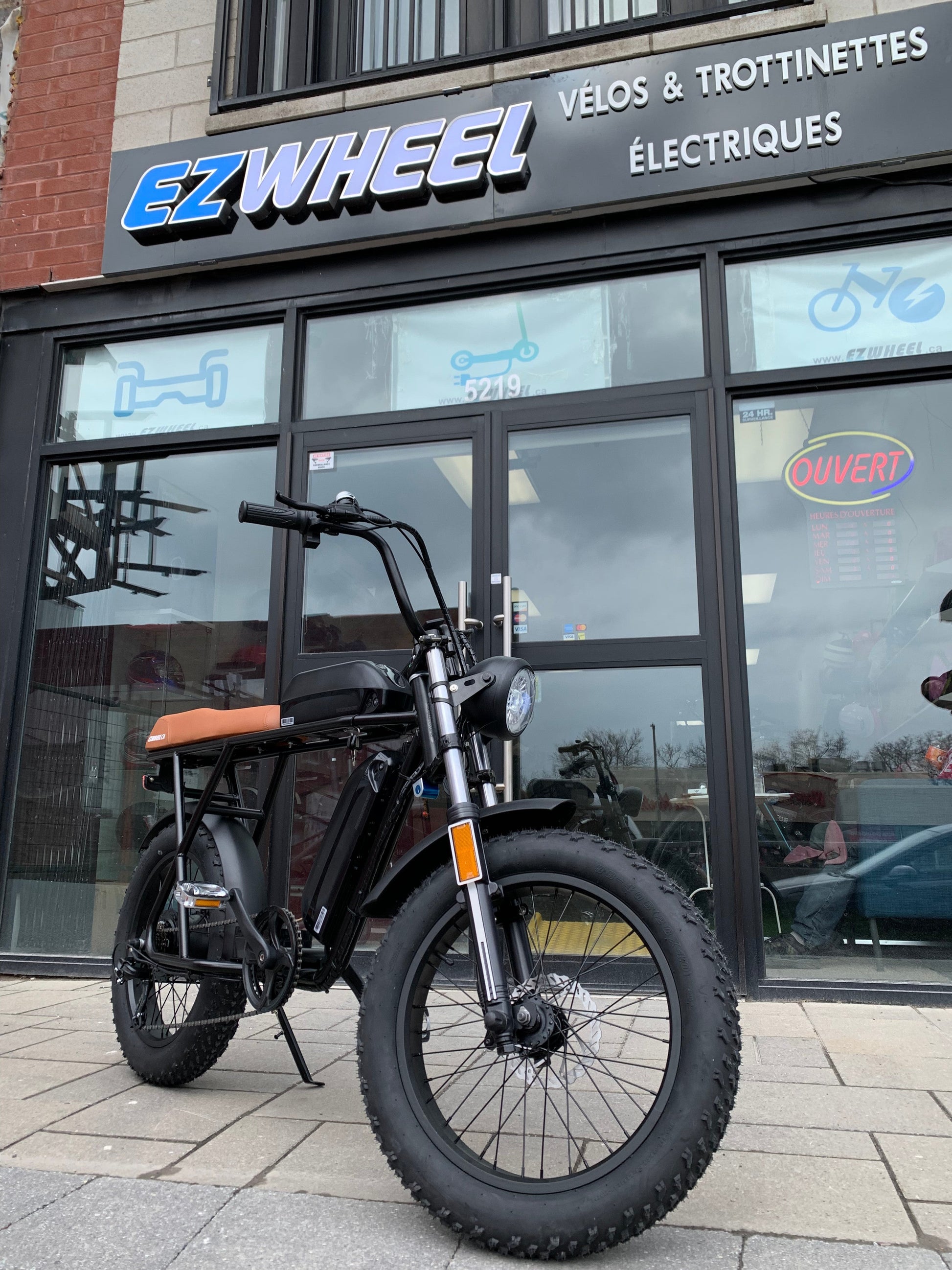 EZWheel Electric Fat Bike X1 & X2 - Ride in Style