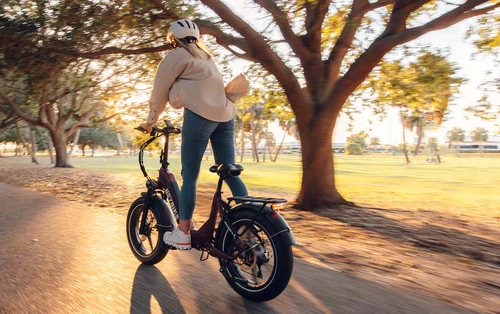Heybike Ranger S folding electric bike with 26-inch fat tires and aluminum alloy frame