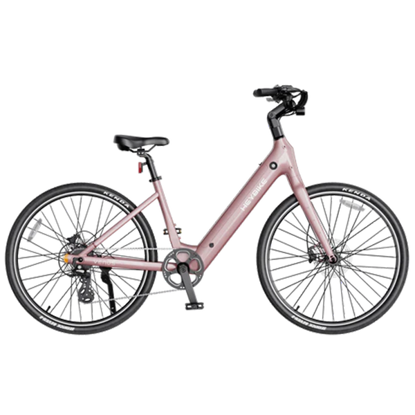 Heybike Venus