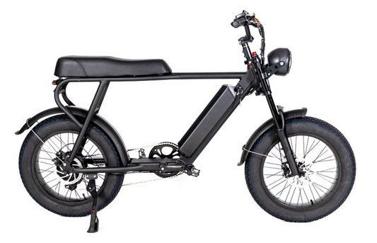 EZWheel S1 Electric Fat Bike