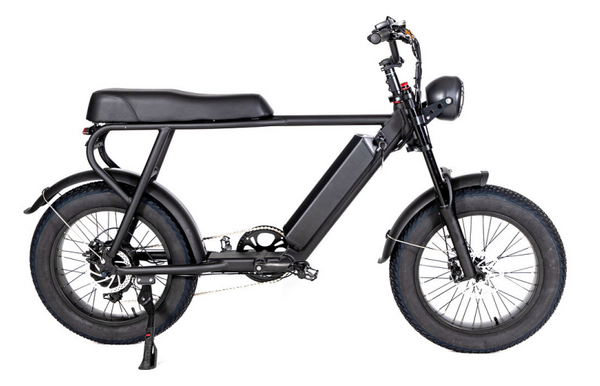 Vélo électrique Fat Bike EZWheel S1
