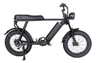 EZWheel S1 Electric Fat Bike