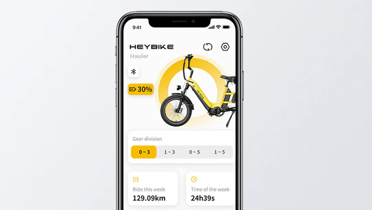 <strong>App Connection</strong>