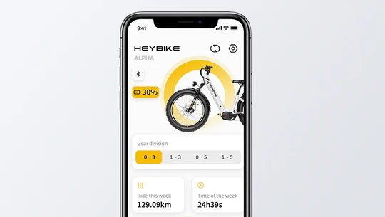 <strong>App Connection</strong>