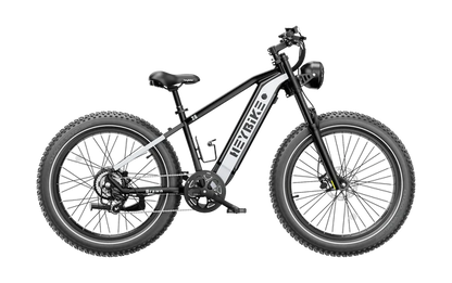 HEYBIKE BRAWN