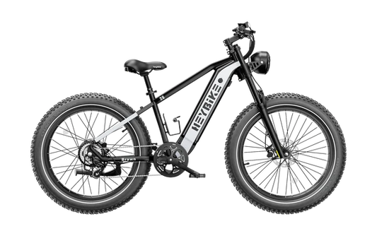 HEYBIKE BRAWN