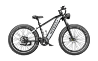 HEYBIKE BRAWN
