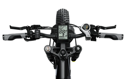 HEYBIKE BRAWN