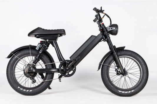 EZWheel S2 Electric Fat Bike