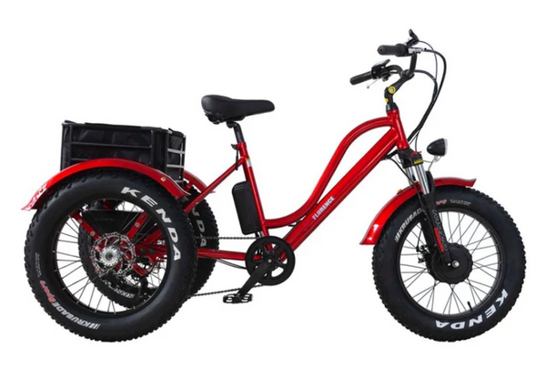 Roue EZWheel T1