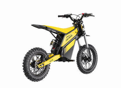 Rugged electric bike for adventure and commuting