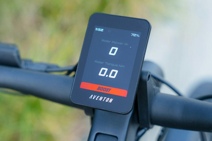 Level 4 REC Ebike