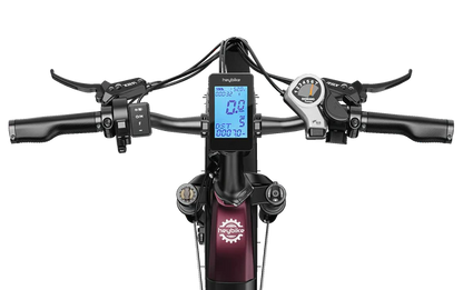 HEYBIKE Ranger S