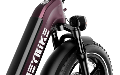 HEYBIKE Ranger S