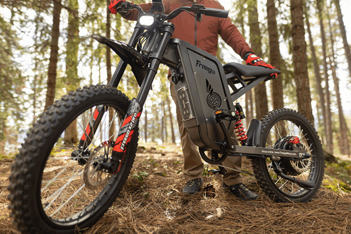 PEDAL ASSIST