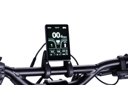 Kaabo Wolf Warrior X GT Handlebar Display