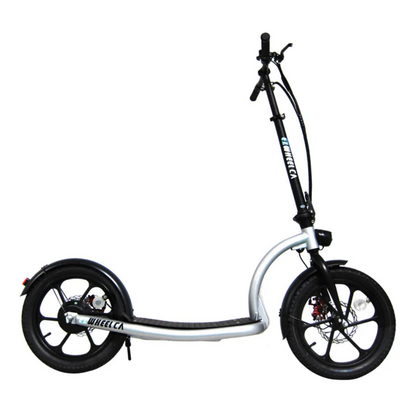 Ville EZWheel