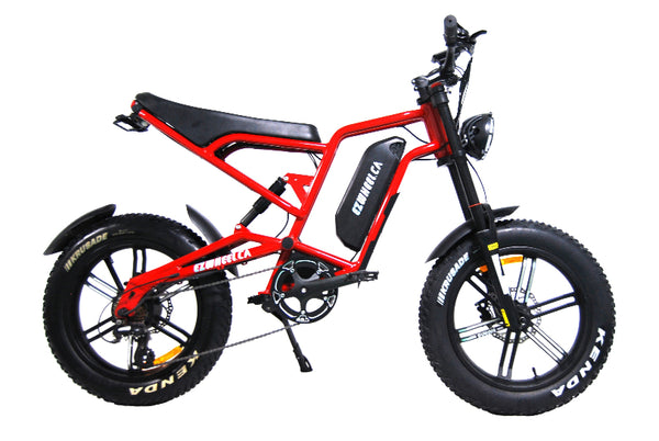 Vélo tout-terrain EZWheel Rhino