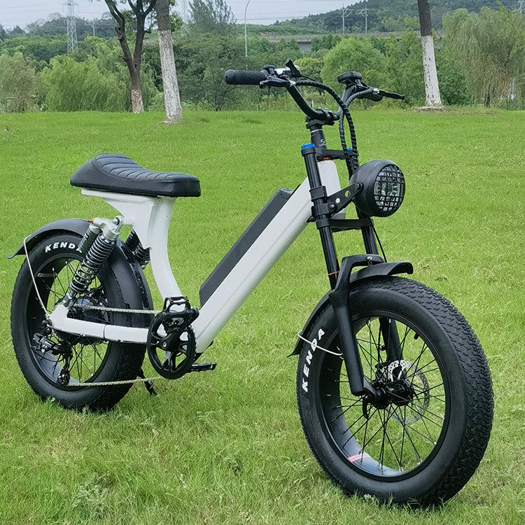 EZWheel S2 Electric Fat Bike 