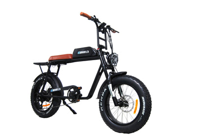 EZWheel S3 Fat Bike - 500W Motor, 40Kmh Speed