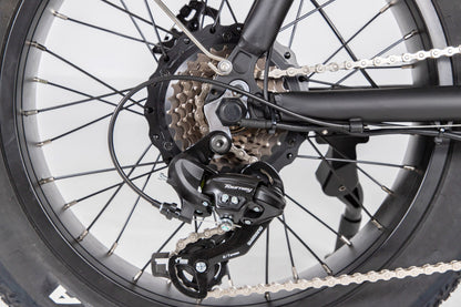 EZWheel S2 Electric Fat Bike with BAFANG Motor & LCD Display