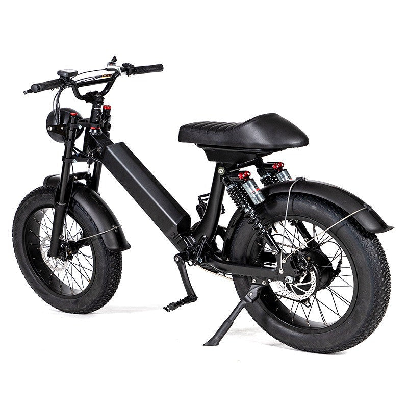 EZWheel S2 Electric Fat Bike 