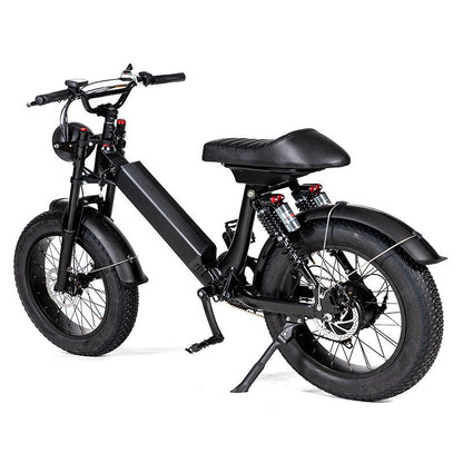 EZWheel S2 Electric Fat Bike 