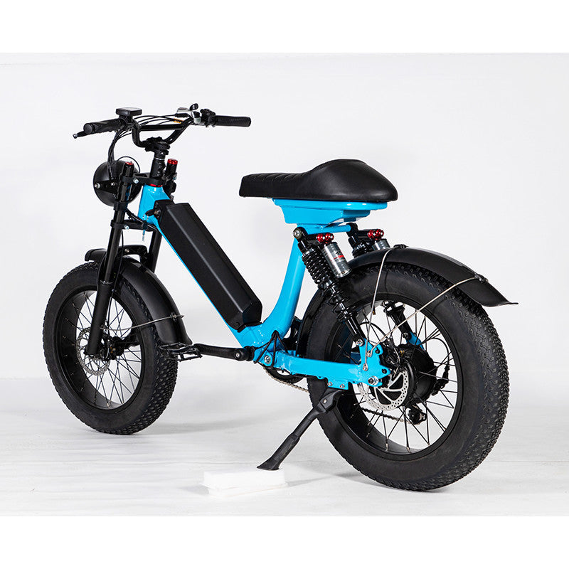 EZWheel S2 Electric Fat Bike 