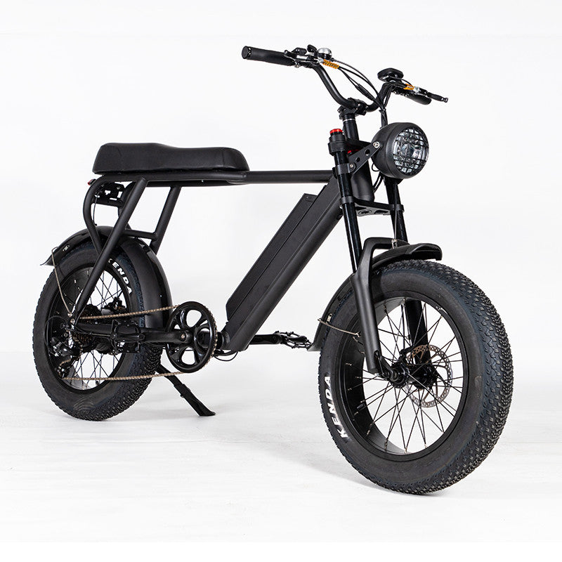 EZWheel S1 Electric Fat Bike, Speed & Power