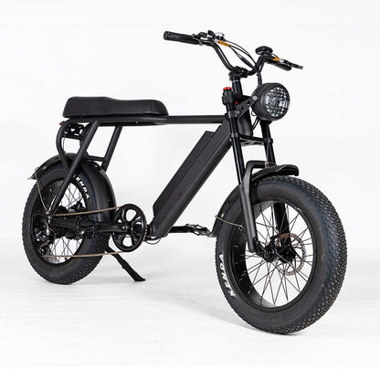 EZWheel S1 Electric Fat Bike, Speed & Power