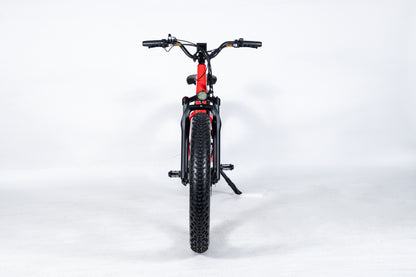 EZWheel Moose 26" Electric Fat Bike with 500W Motor