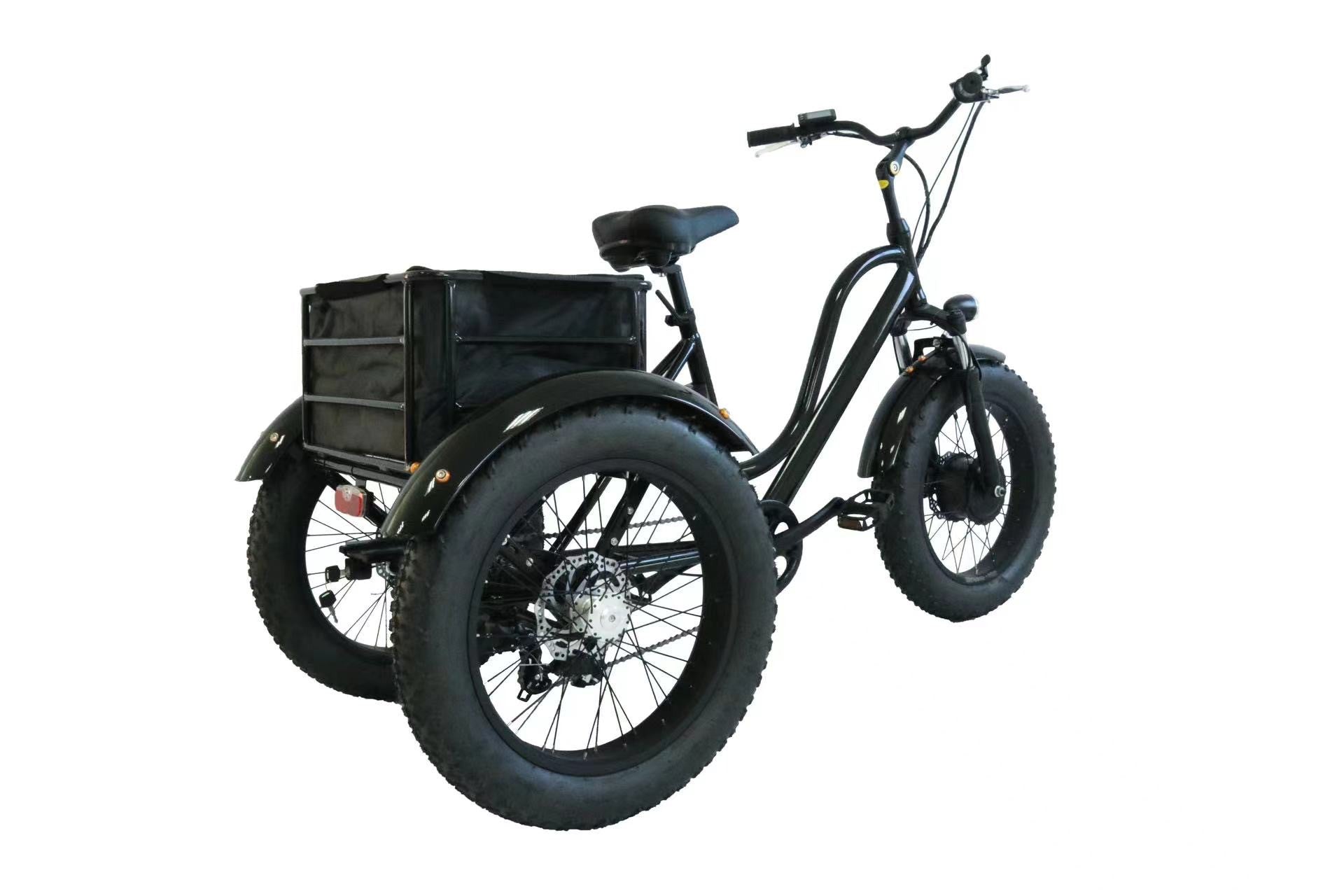 EZWheel T1 - 500W Motor, 30 km/h Speed Electric Bike