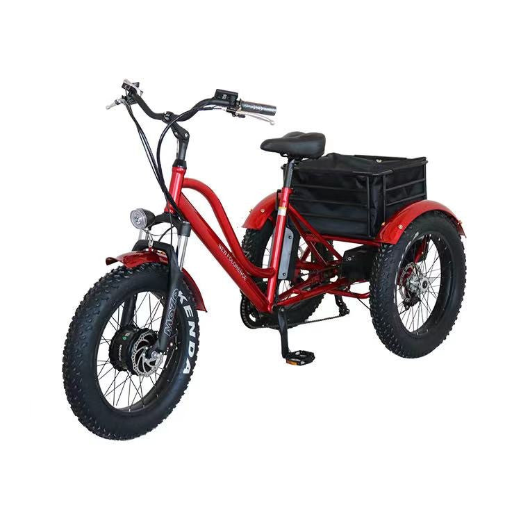 EZWheel T1 - 500W Motor, 30 km/h Speed Electric Bike