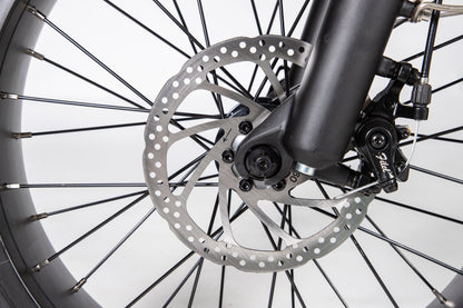 EZWheel S1 Electric Fat Bike, Speed & Power