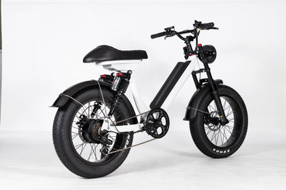 EZWheel S2 Electric Fat Bike with BAFANG Motor & LCD Display