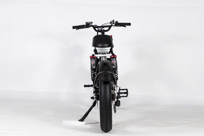 EZWheel S2 Electric Fat Bike 
