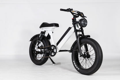 EZWheel S2 Electric Fat Bike 