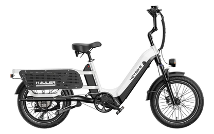 HEYBIKE Hauler