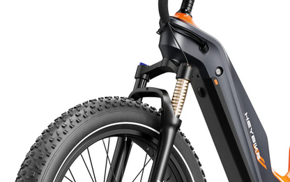 HEYBIKE HERO